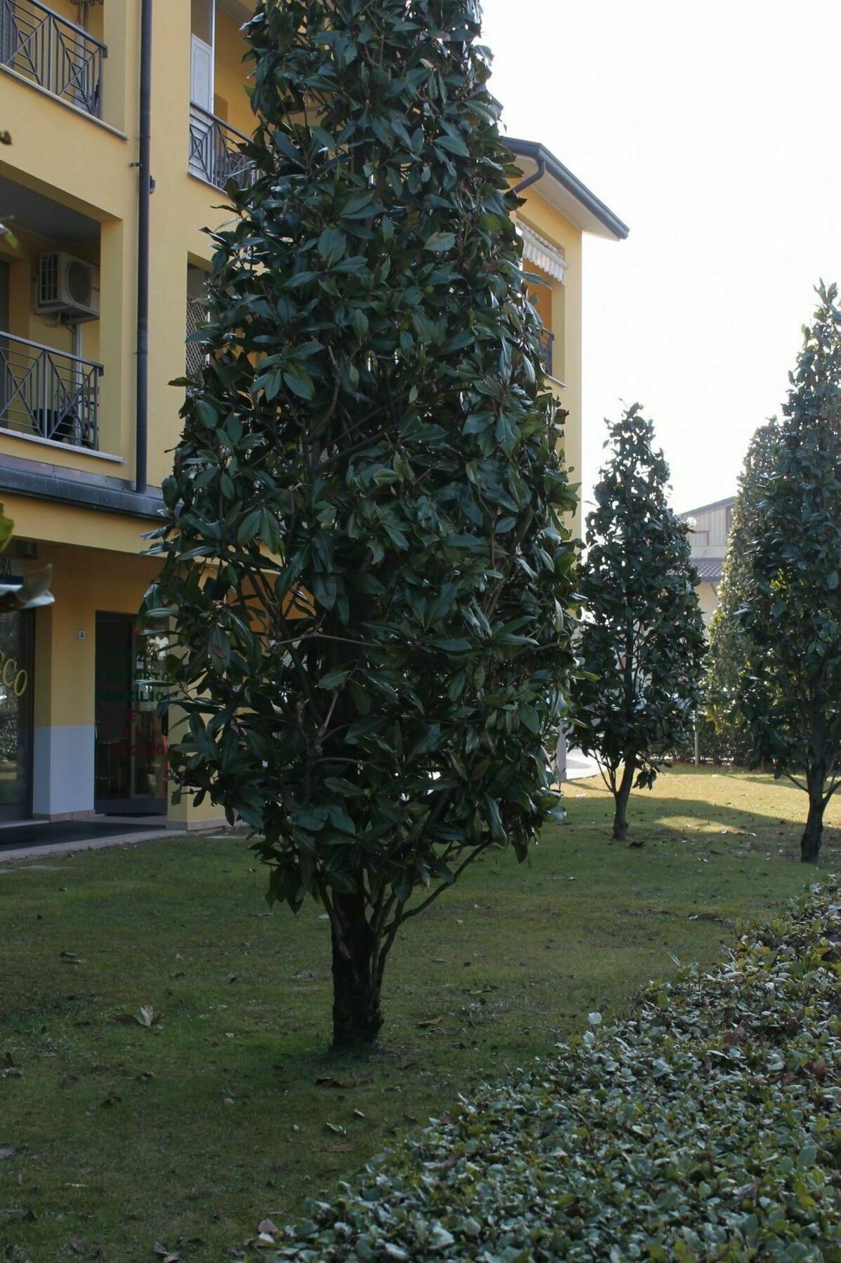 Sarno Apartments Caravaggio Sirmione Zewnętrze zdjęcie